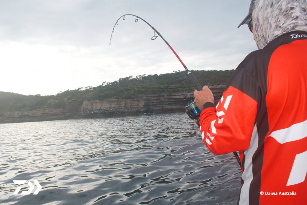 Reels – Daiwa Australia