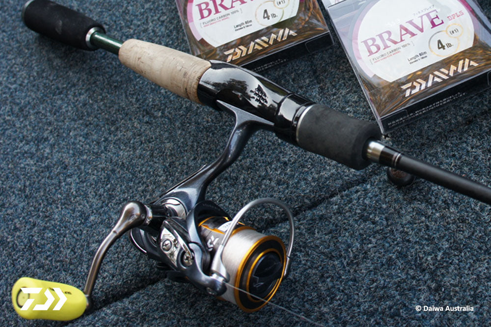 DAIWA FISHING TIPS: Straight to the point – Fishing with