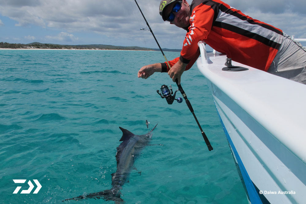 Fraser Island Flats Marlin 02