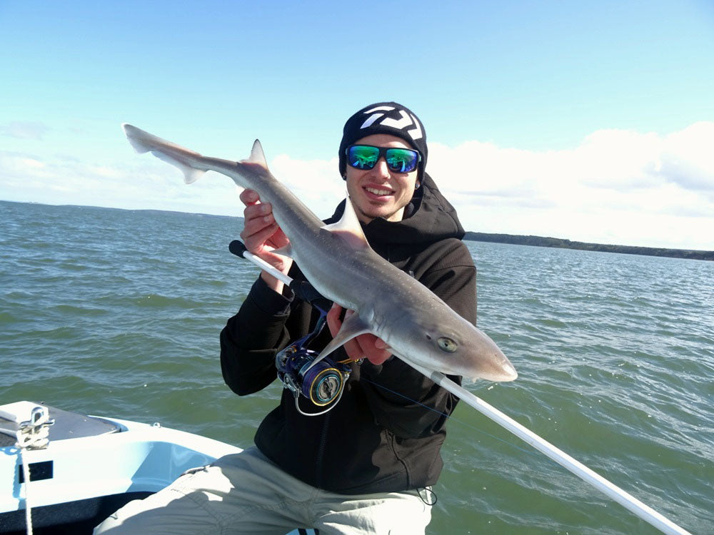 How to Catch Gummy Sharks - Daiwa Fishing Tips – Daiwa Australia