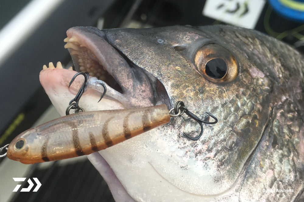 DAIWA FISHING TIPS: Bream in the Timber by Dale Baxter – Daiwa US