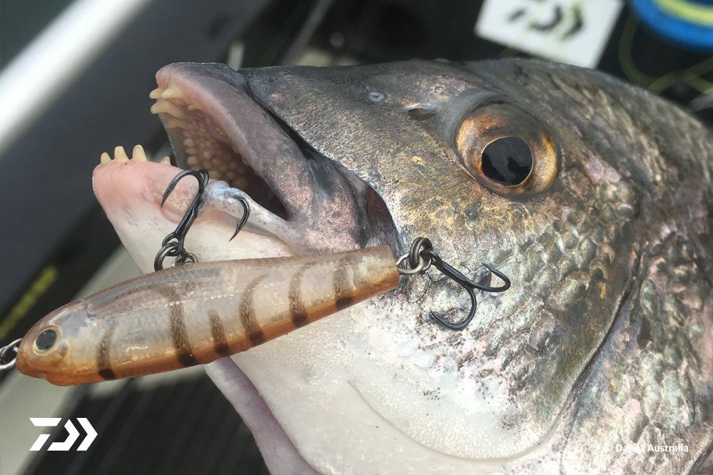 DAIWA FISHING TIPS: Bream in the Timber by Dale Baxter – Daiwa