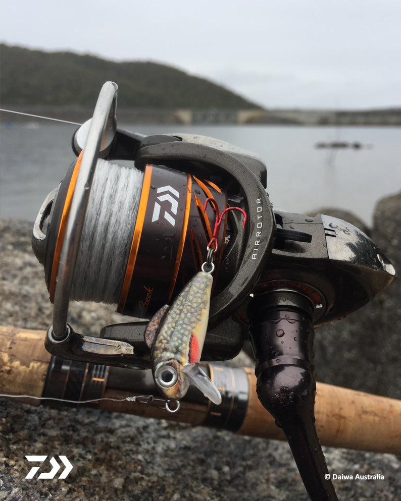 Technique And Product Focus: Trout Fired Up Around Snowy Mountains – Daiwa  Australia