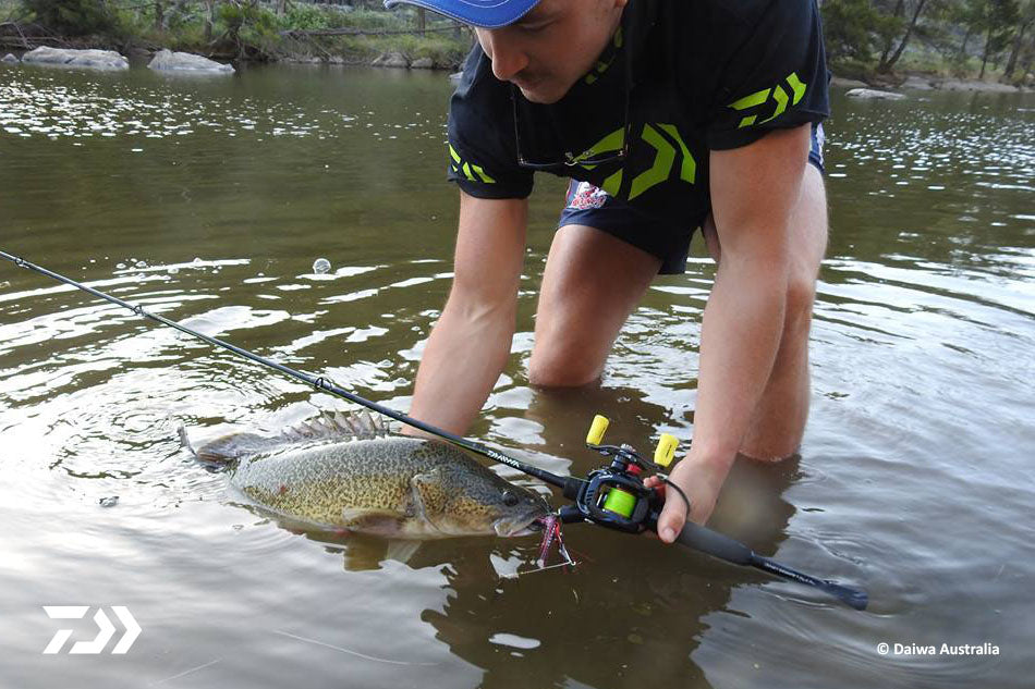 Murray Cod Open Season 2015 09