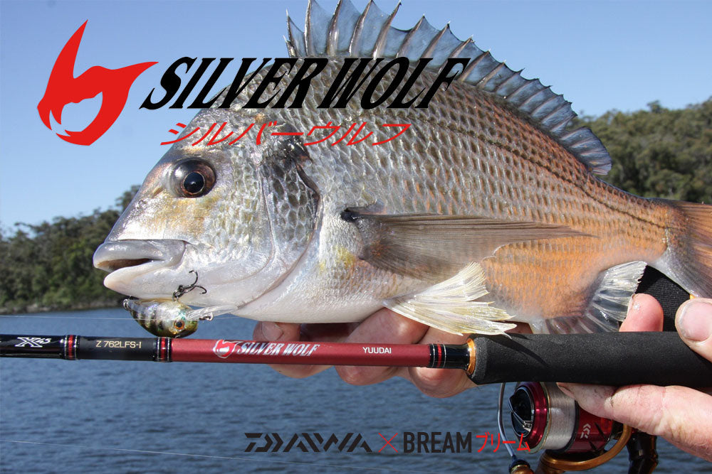 PRODUCT FOCUS: Dancing with Wolves. Silver Wolf Yuudai 762LFS Interlin –  Daiwa Australia