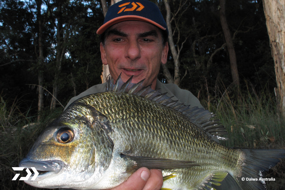 DAIWA FISHING TIPS: Southern Surface Luring Tips – Jamie