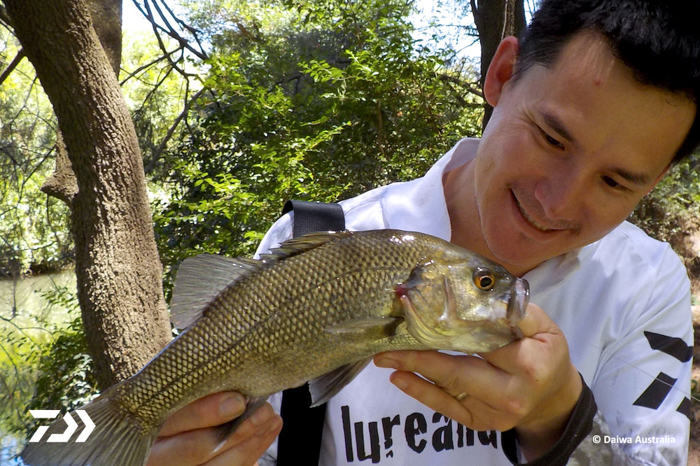 Fishing Tips: Springtime Australian Bass – Daiwa Australia