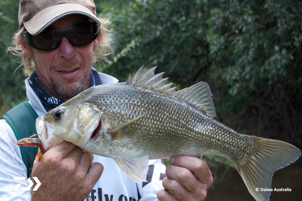 How to Catch Bass on Rising Dams – Daiwa Australia