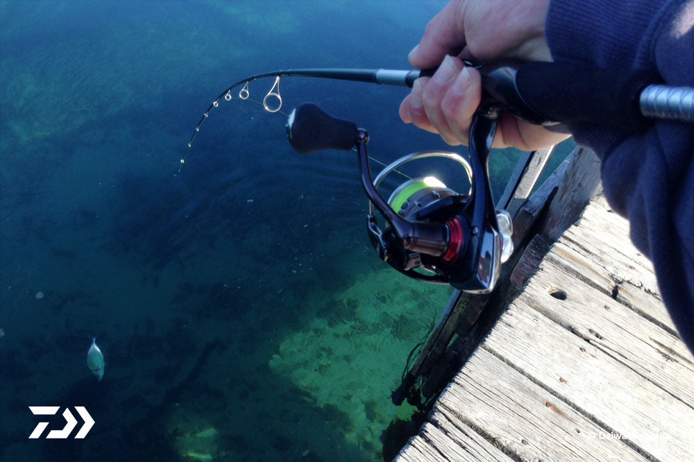 New Fishing Reel at the Jetty 