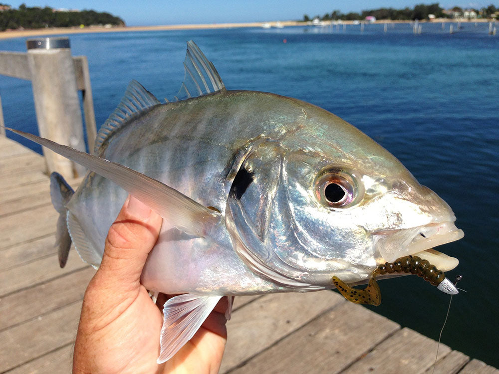 Keeping it Simple, Jetty Fishing Basics for Beginners - Tackle Land