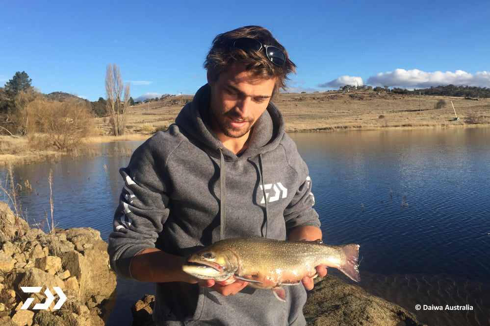 How to Catch Trout on Soft Plastics – Daiwa Australia