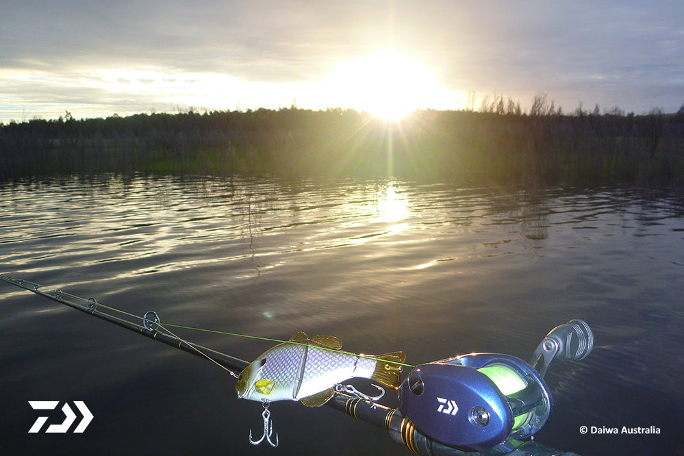 Technique And Product Focus: Swimbaiting For Murray Cod – Daiwa