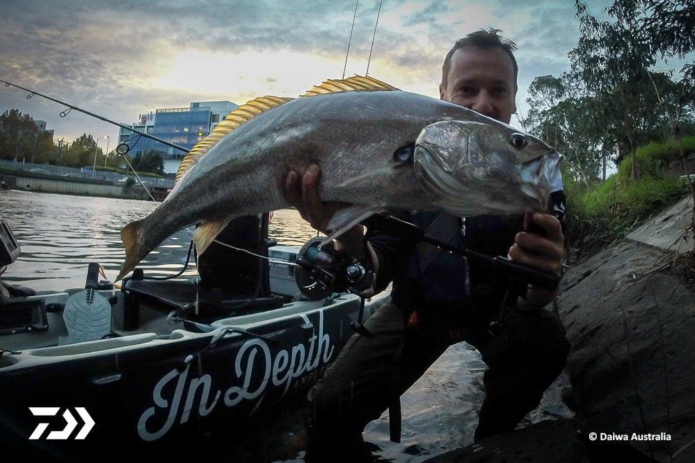 DAIWA FISHING TIPS: Melbourne Jewfish – When a plan comes togeth –  Daiwa Australia