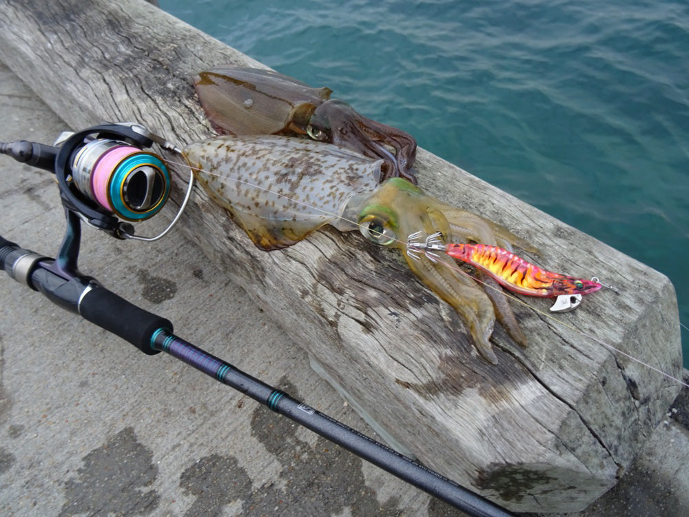 New (to me) squid/egi set up. I have never felt this way about inanimate  objects before : r/Fishing_Gear