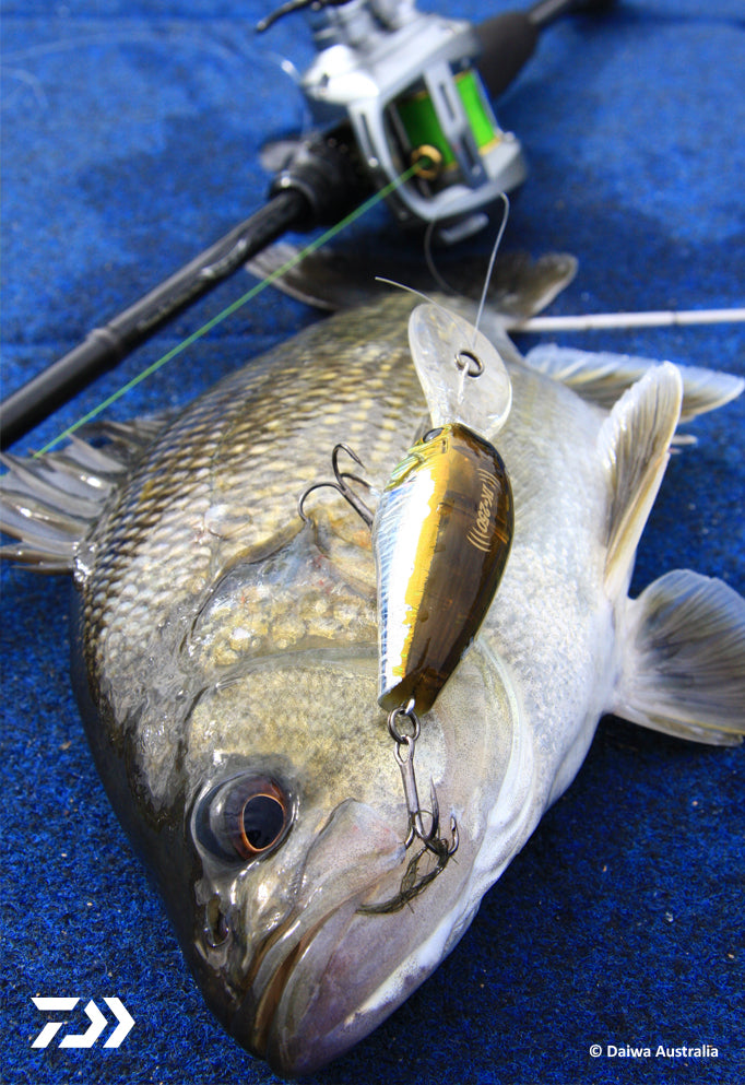 Braided Line Fused Fishing