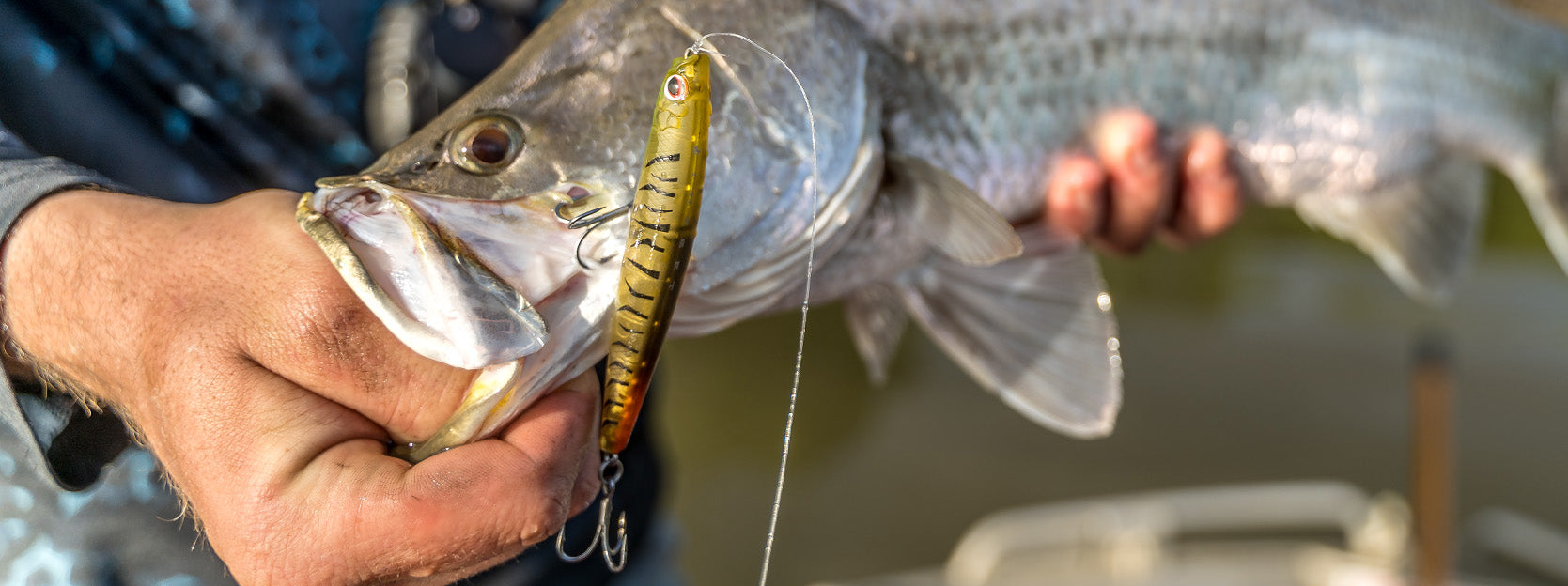 How to Get Hooks Out of Fish – Daiwa Australia