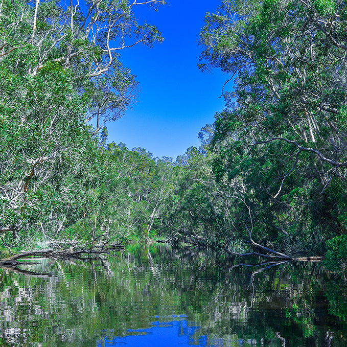 How to Catch Australian Bass in Rivers