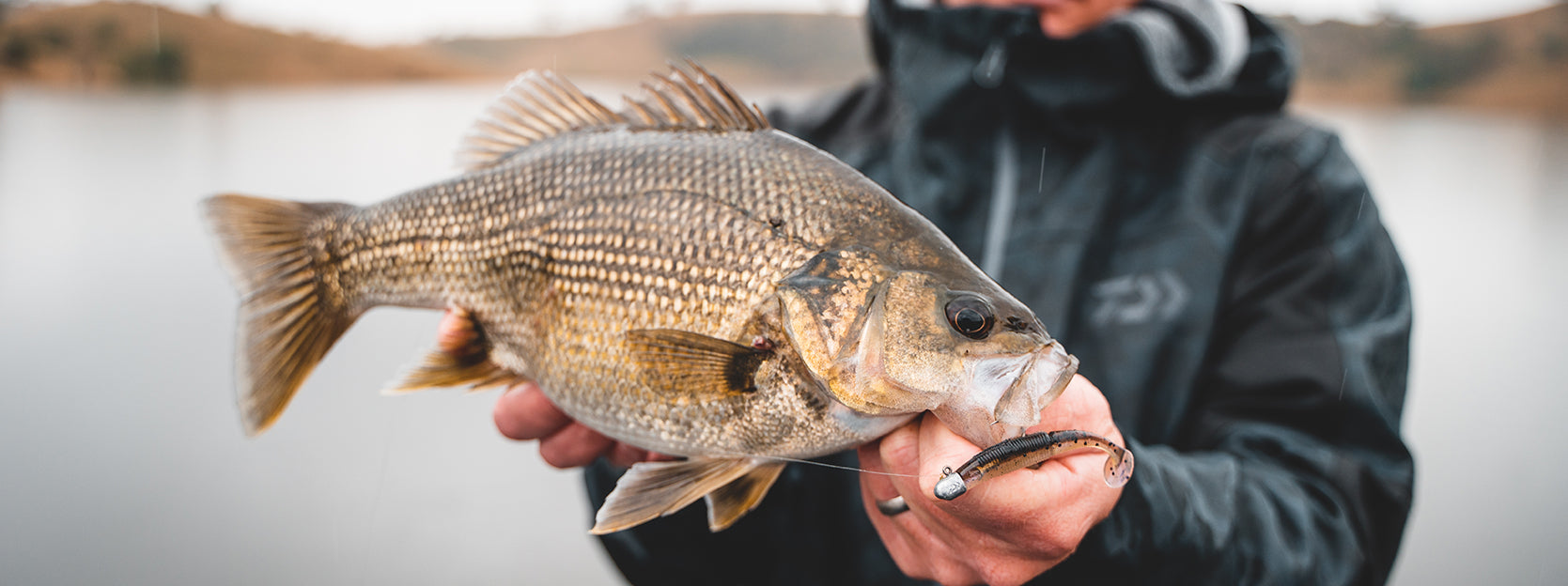 Catching Australian Bass on Deepwater Soft Plastics