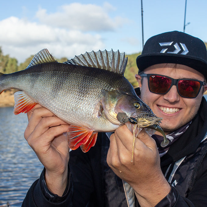 Beginners Guide to Perch Fishing