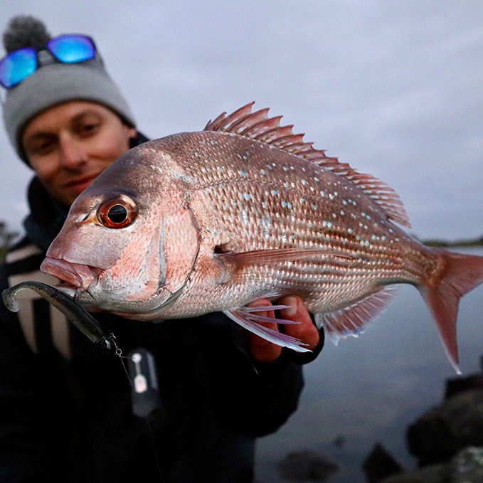 Best time to deals fish at the warmies