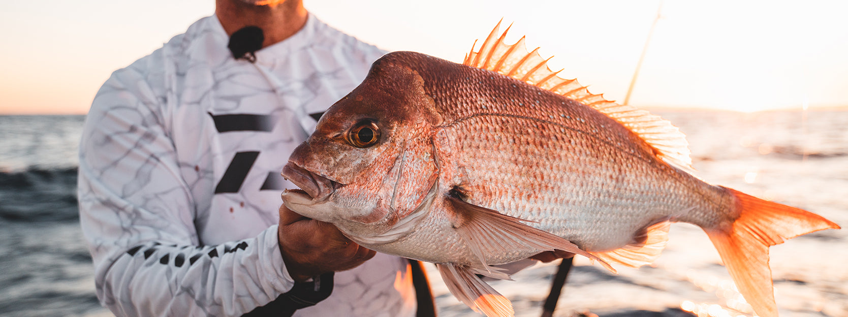 How to Catch Sydney Snapper