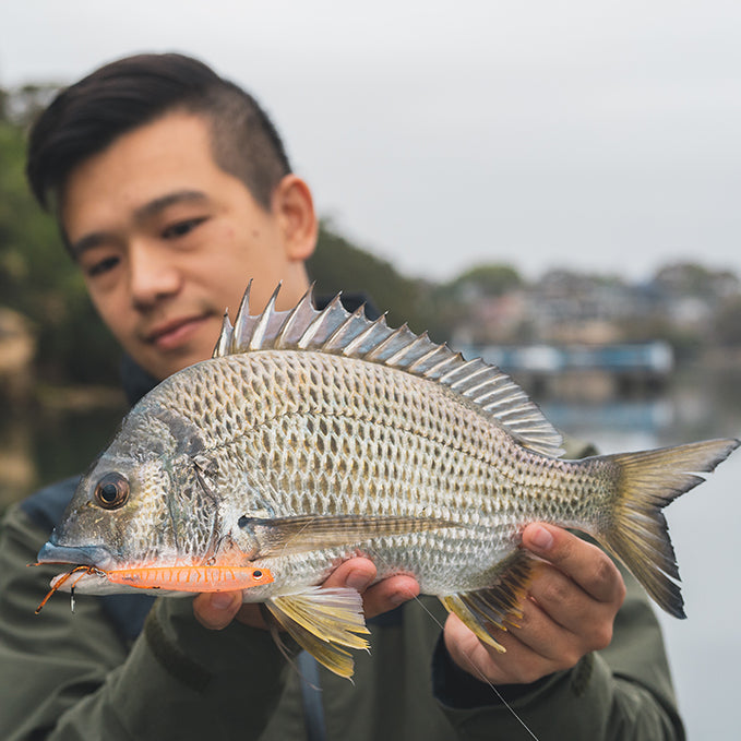 How to Catch Bream on Infeet Slippery Dog Surface Lures