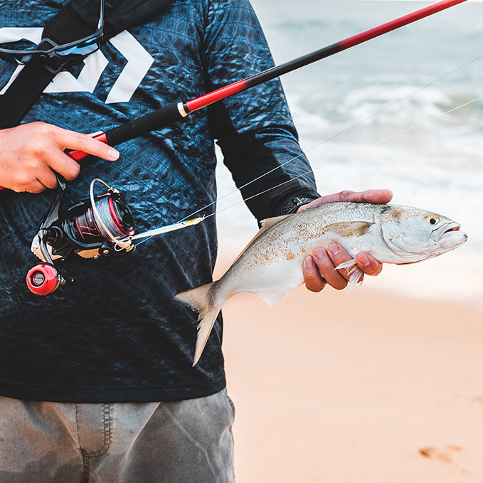 How to Catch Tailor: A Complete Guide – Daiwa Australia