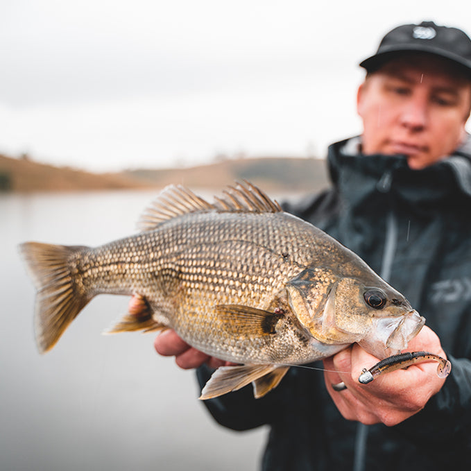 Catching Australian Bass on Deepwater Soft Plastics