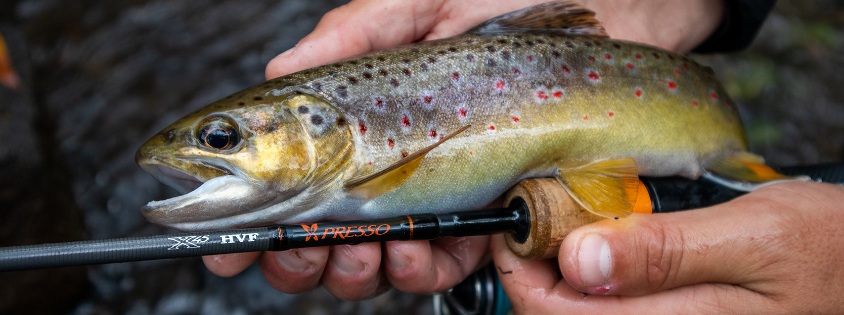 Rigging for deep-hole trout