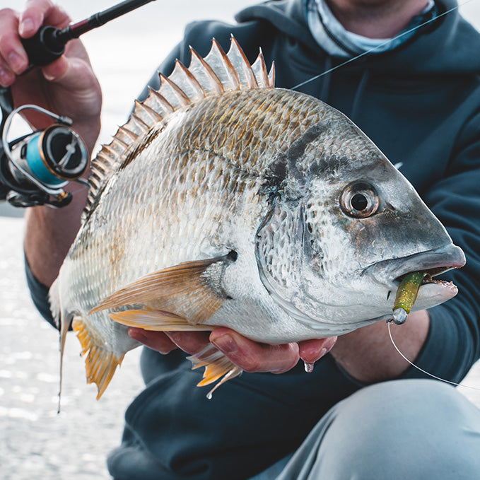 Tackle Tip : What Colour Soft Plastic Works Best For Fishing