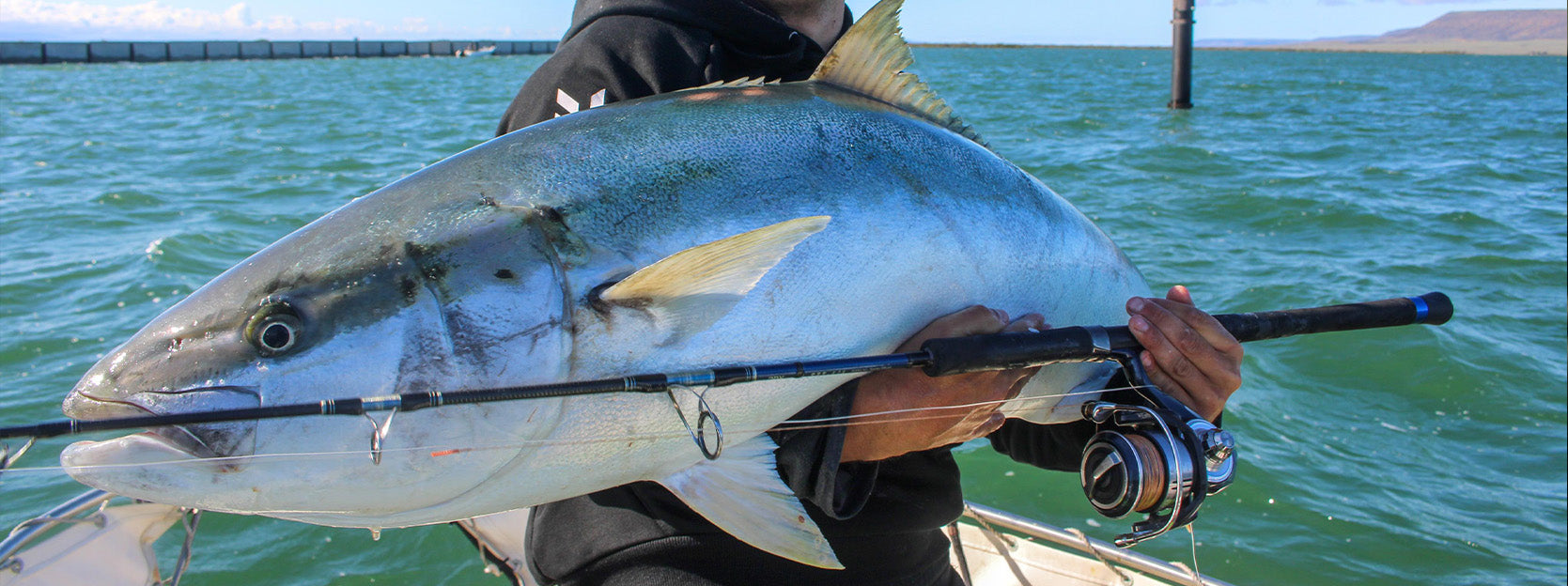 How to Catch Giant Kingfish