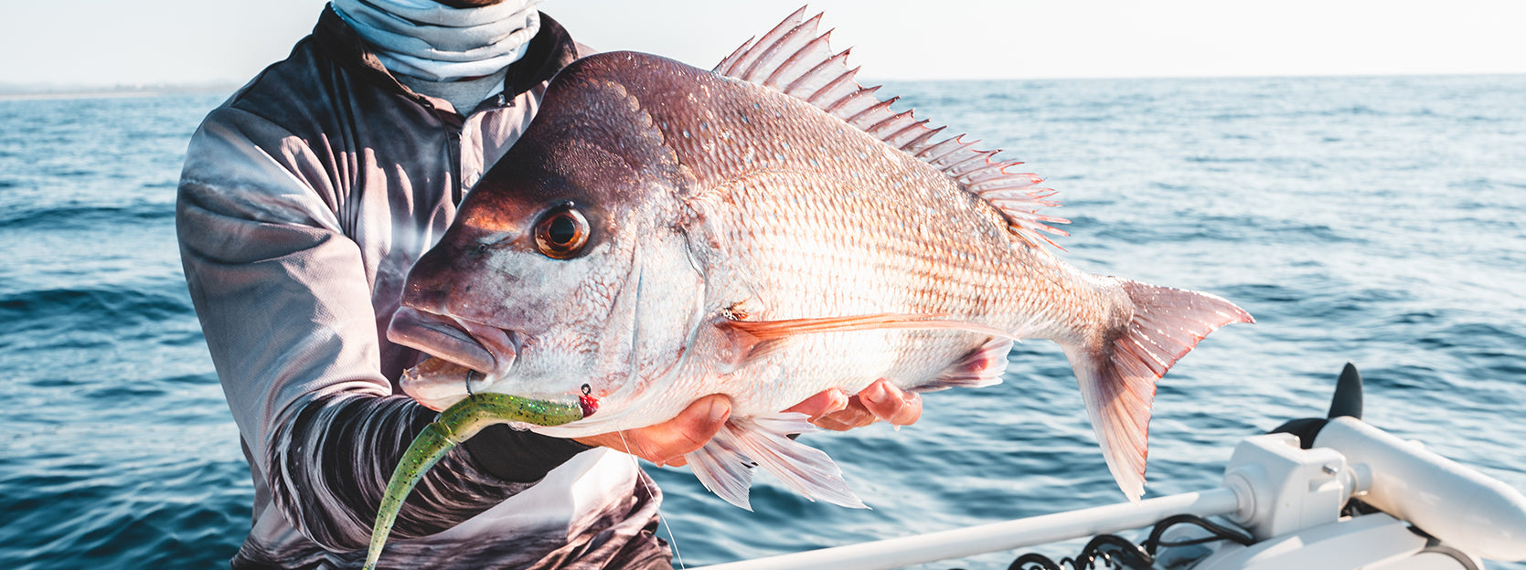 Snapper for beginners - The Fishing Website