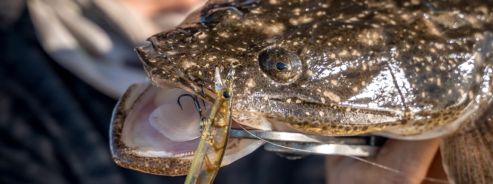 How to troll lures in the estuary: A beginner’s guide