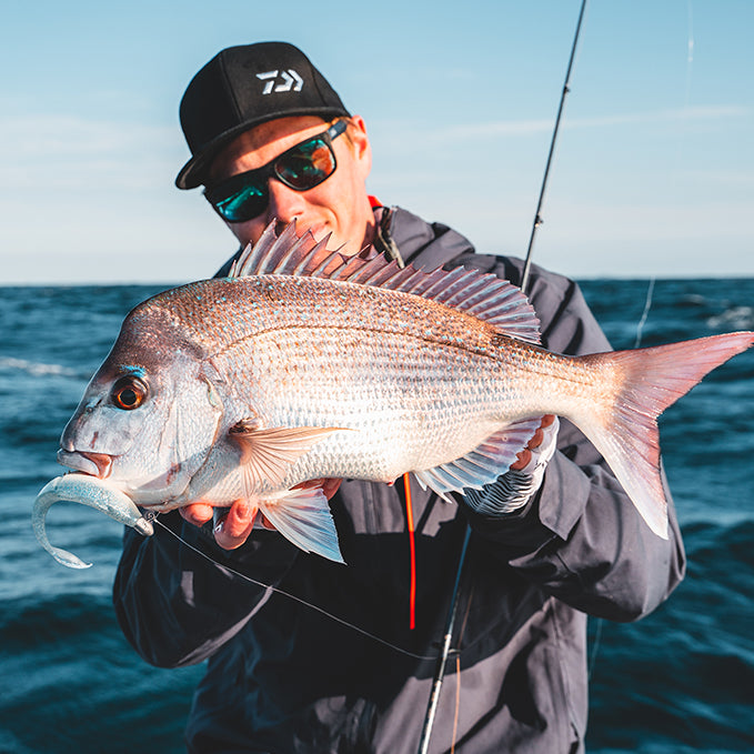 How to Catch Snapper on Bait Junkie Soft Plastics – Daiwa Australia