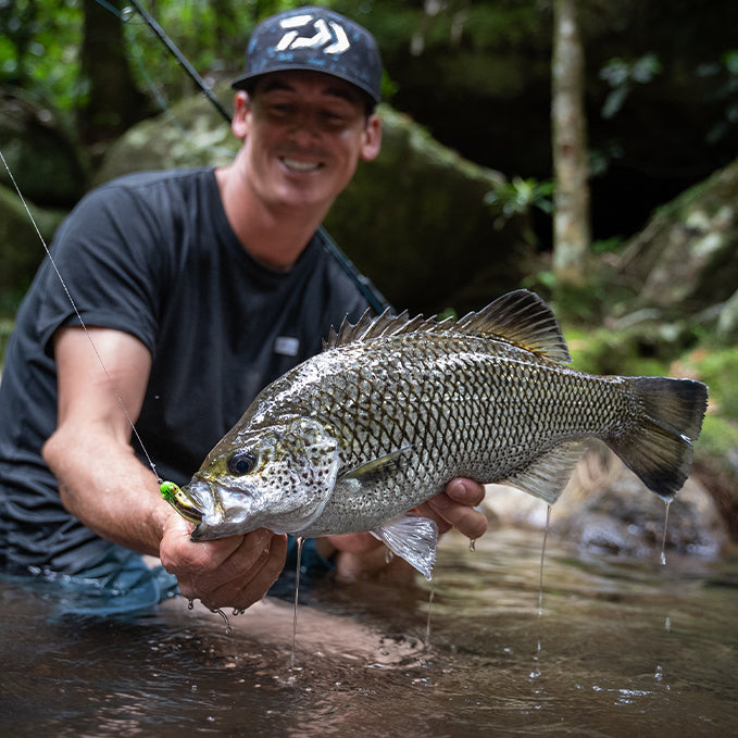 Product Review: Bait Junkie Kikker Curly – Daiwa Australia