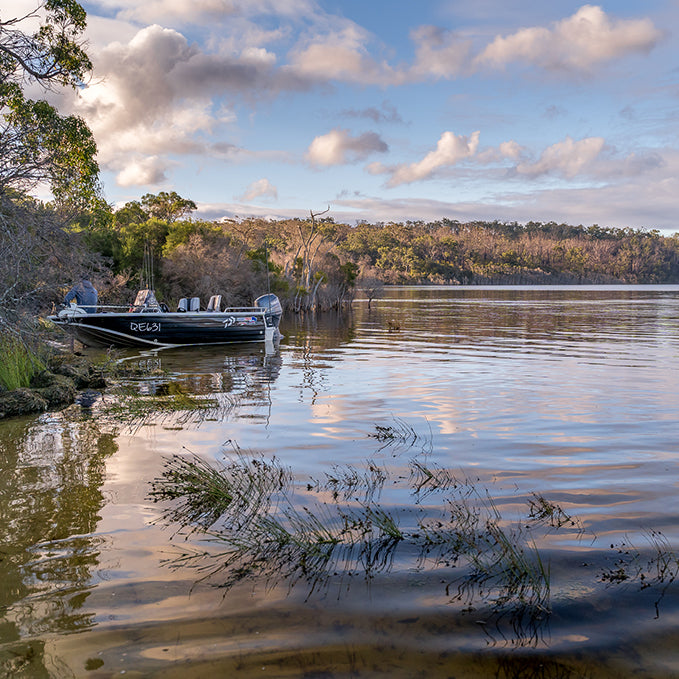 Estuary Fishing: A Complete Guide – Daiwa Australia