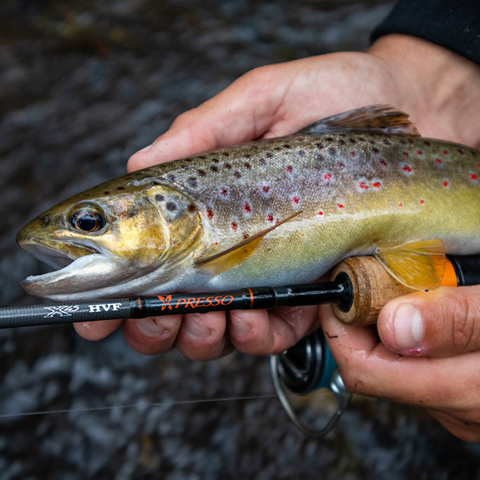 How to Catch Creek Trout on Soft Plastics