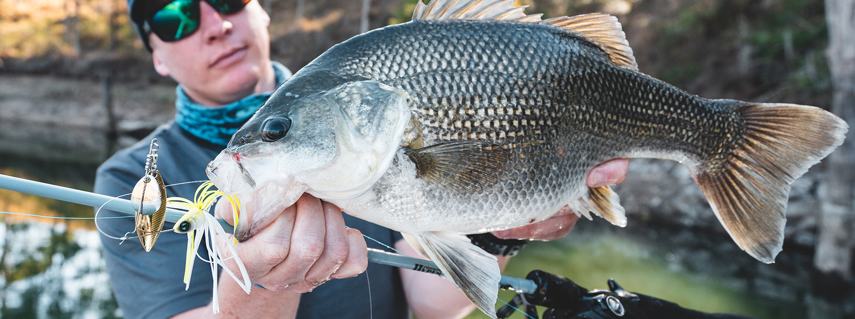 How to Fish Spinnerbaits – Daiwa Australia