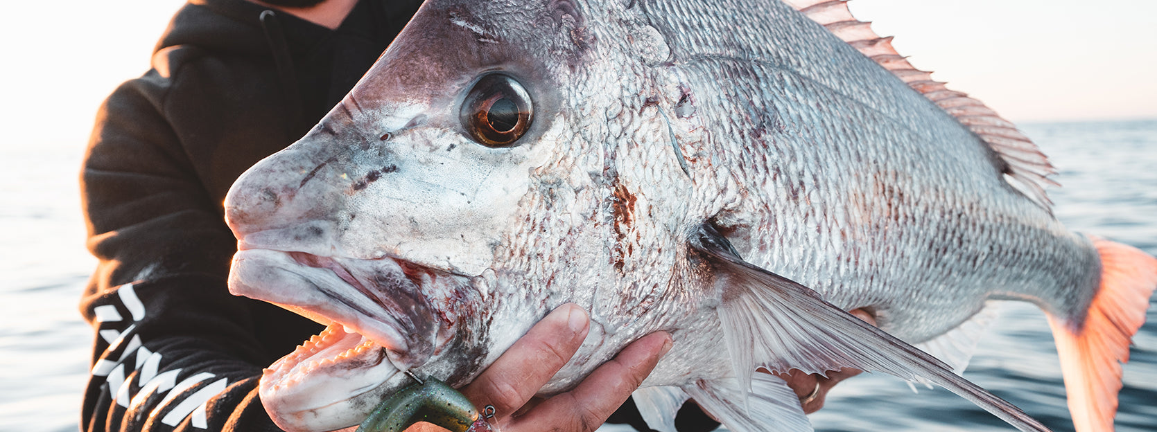 We caught a LOT of fish until THIS happened [Surf Fishing] 