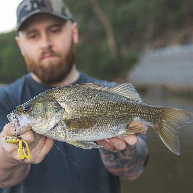 How to Catch Australian Bass on Frogs