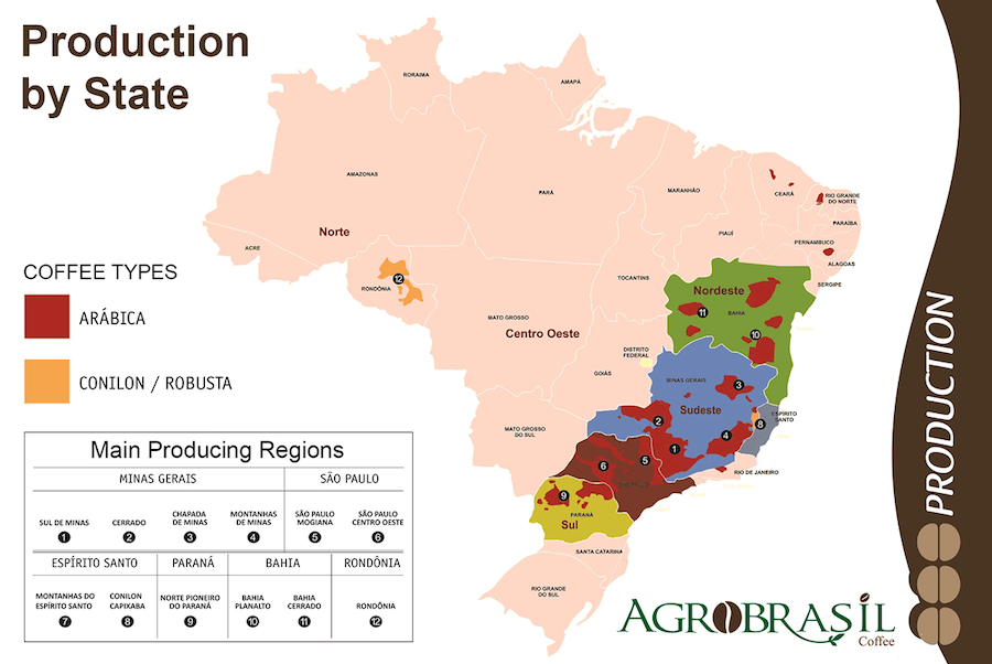 Brazilia kavove plantaze