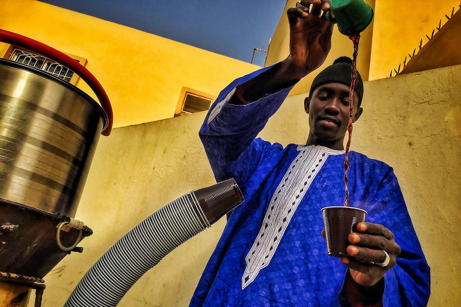 kava senegal touba