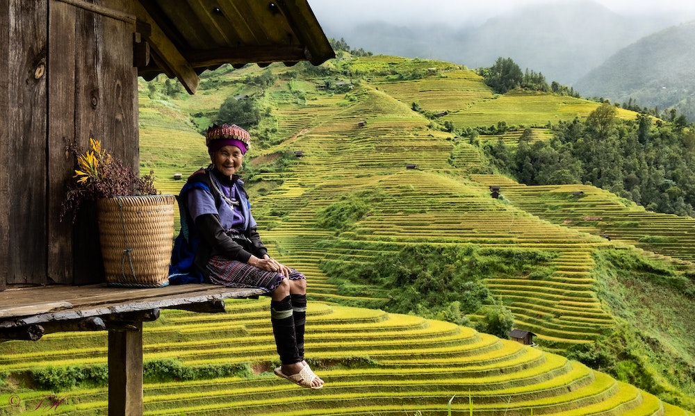 kava vietnamska robusta