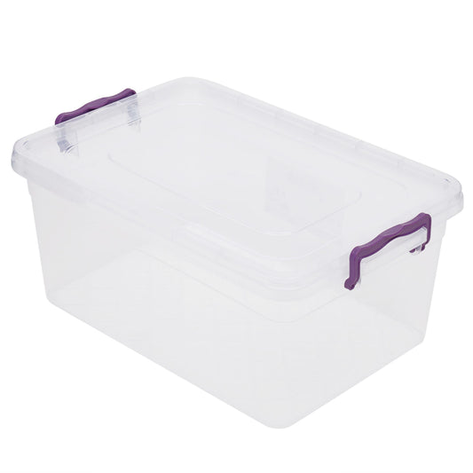 Clear Plastic Containers w/ Locking Lids