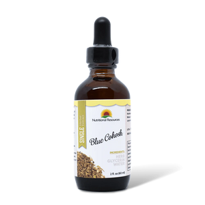 Blue Cohosh - Thriving 4 Health