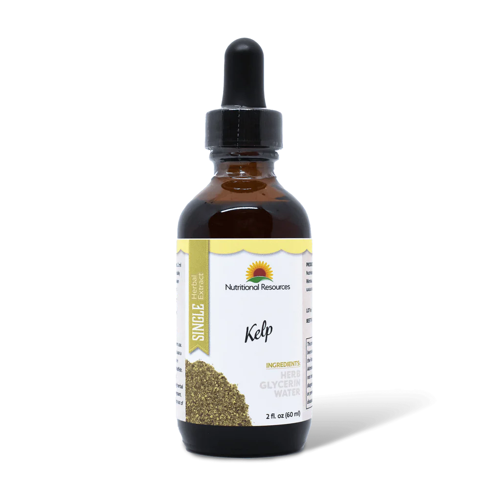 Kelp