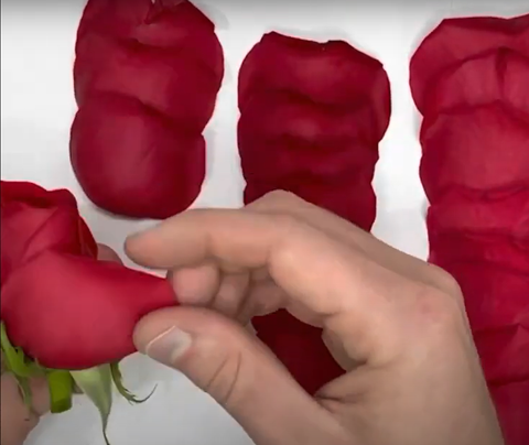 How to make a rose petal joint