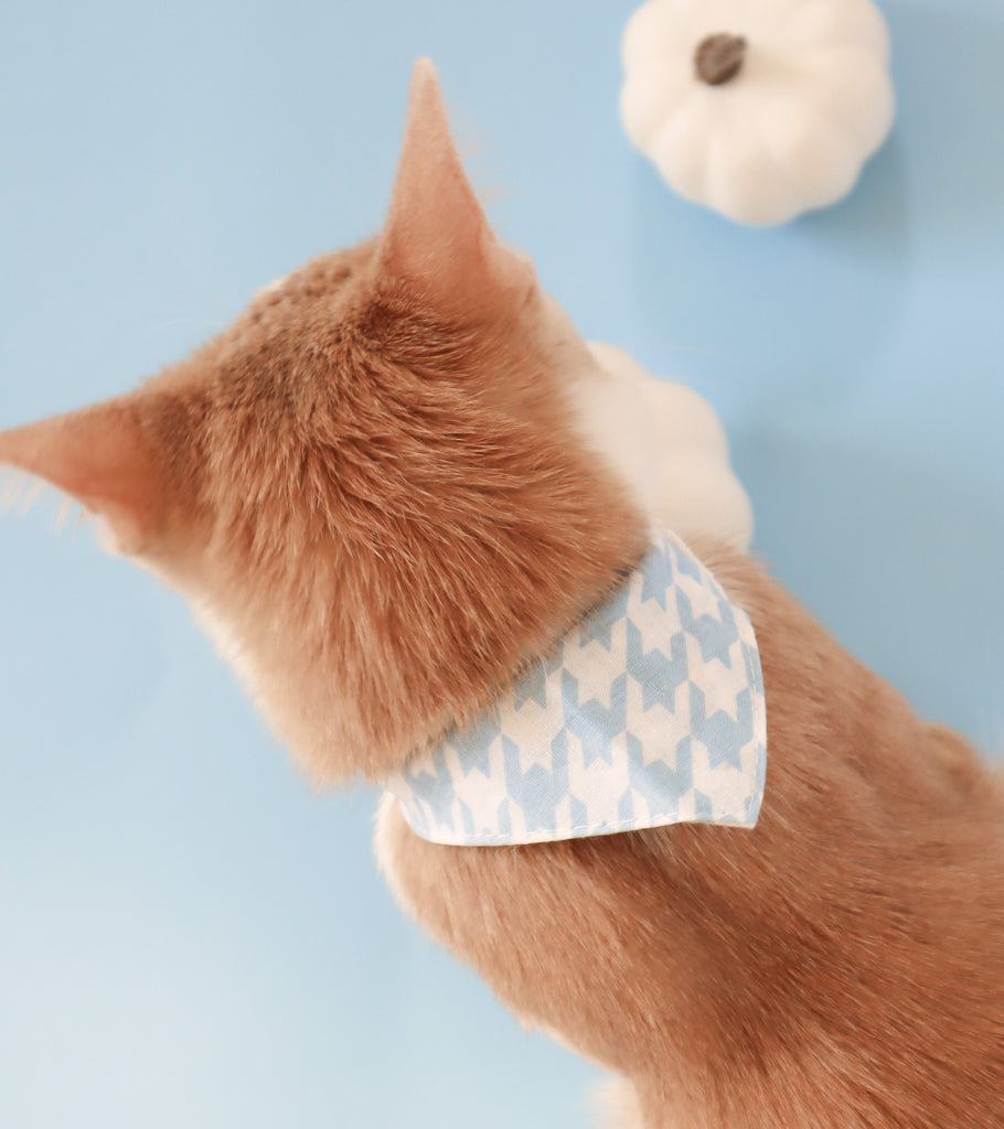 The Paws Cat bandana