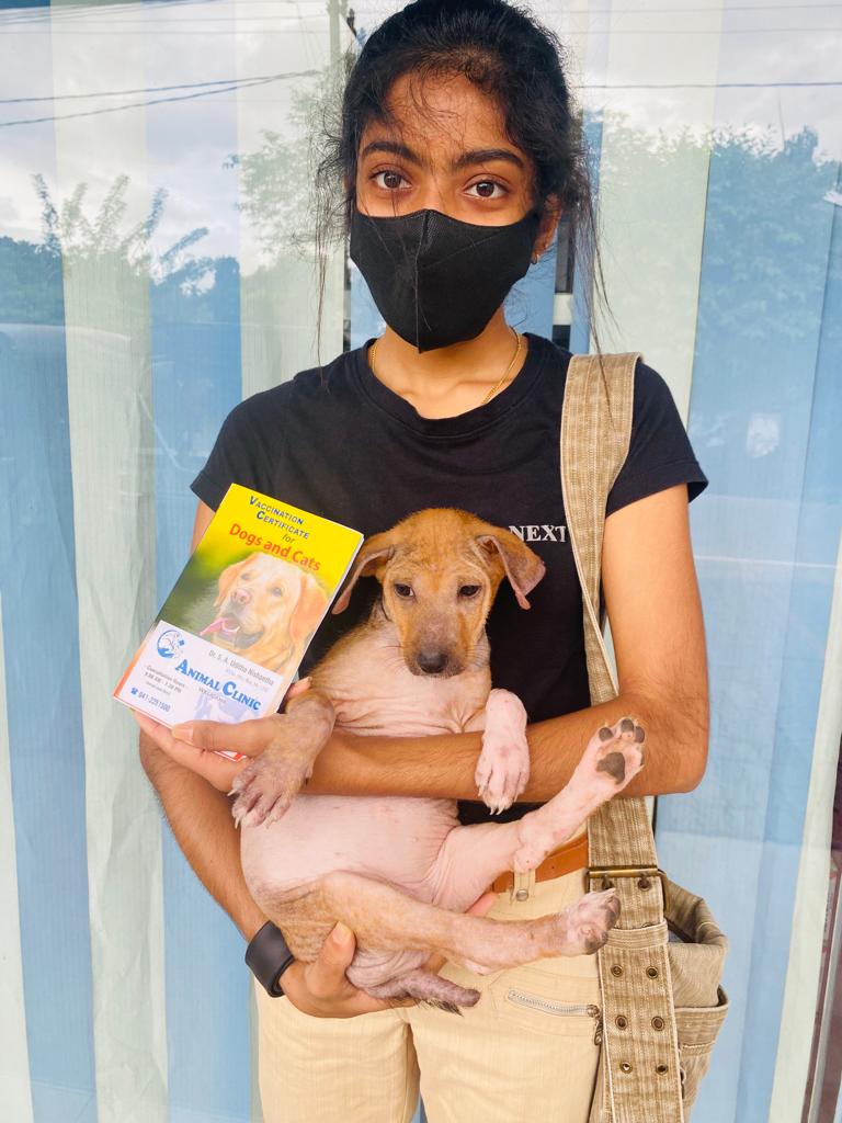 rescue dog in Sri Lanka