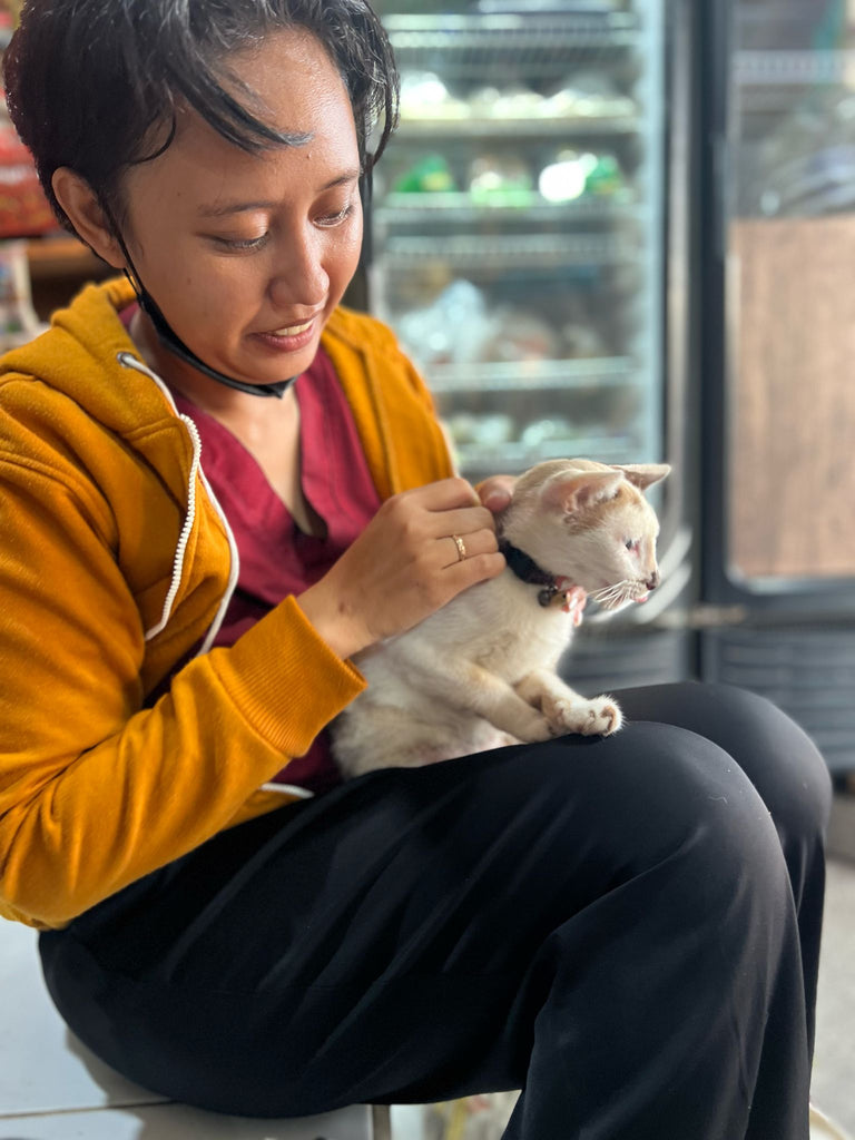 Bali vet services